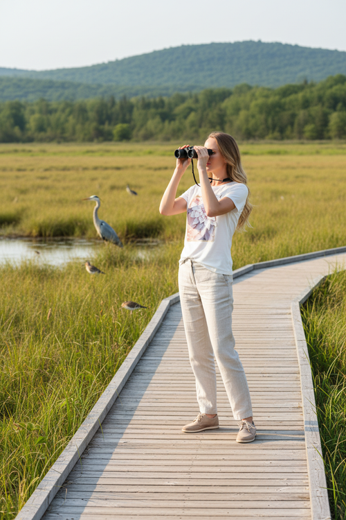 7. Passerelle marais Coulée Adolphe oiseaux Laurentides